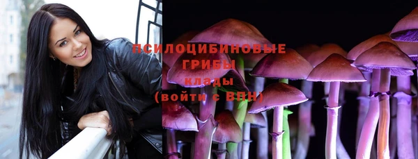 экстази Каменка