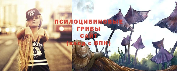 скорость Ельня
