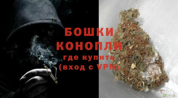 скорость Ельня