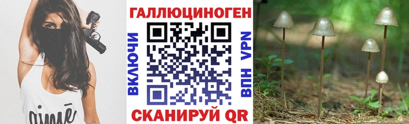 маркетплейс наркотические препараты Энгельс Галлюциногенные грибы Psilocybe