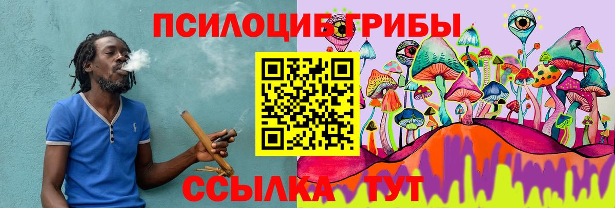 Энгельс  Псилоцибиновые грибы Psilocybine cubensis  Вход с VPN 